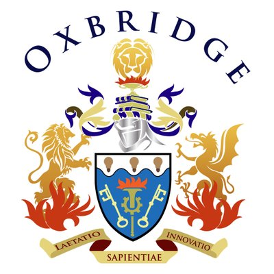 Oxbridge Property Group, a chatbot developer